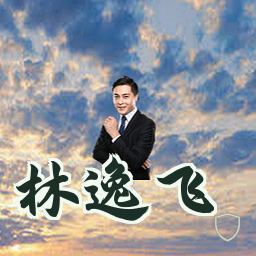 林逸飞